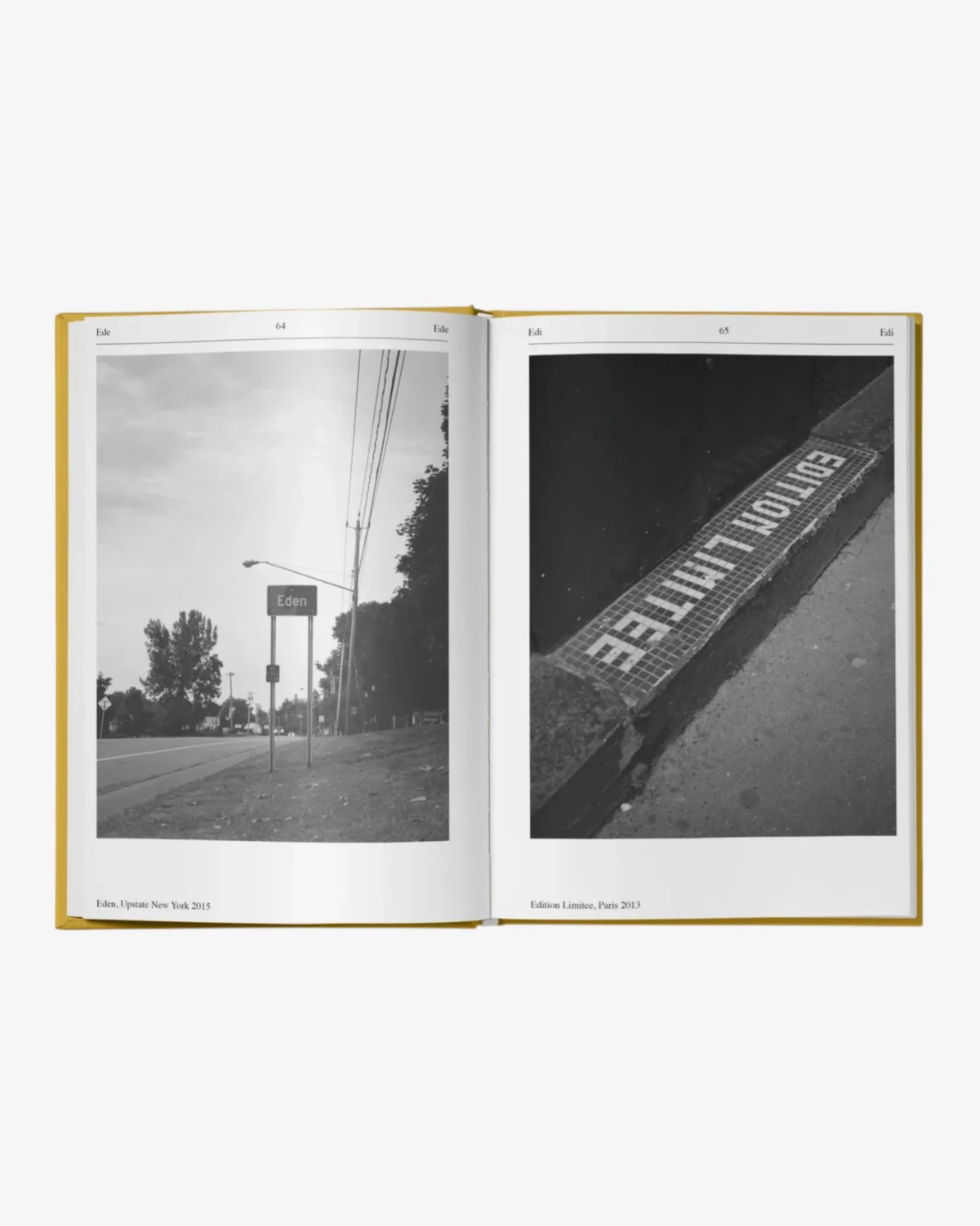 Luca Massaro: Dizionario Vol.1