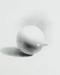 Tee 'Ball' White
